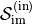\mathcal{S}_{\text{im}}^{(\text{in})}