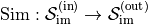 \text{Sim} : \mathcal{S}_{\text{im}}^{(\text{in})} \to \mathcal{S}_{\text{im}}^{(\text{out})}