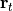 \mathbf{r}_{t}