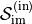 \mathcal{S}_{\text{im}}^{(\text{in})}