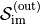 \mathcal{S}_{\text{im}}^{(\text{out})}