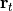 \mathbf{r}_{t}