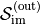 \mathcal{S}_{\text{im}}^{(\text{out})}