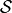 \mathcal{S}